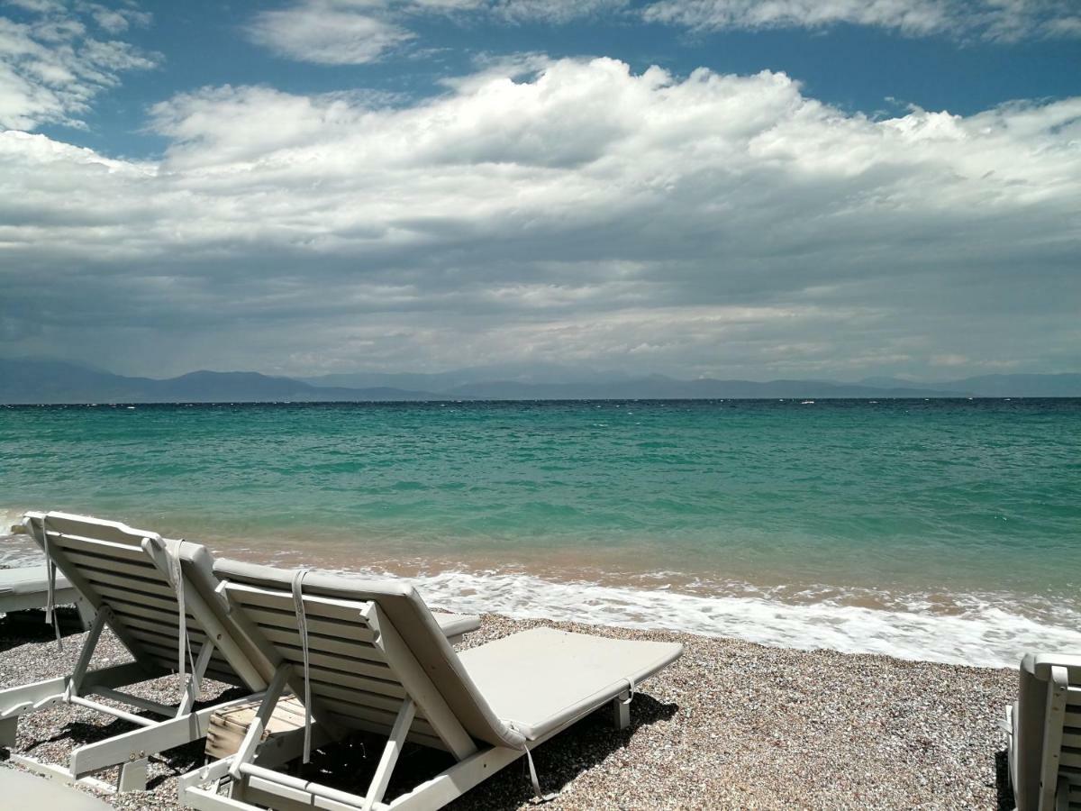 Апартаменты Angel's Place By The Sea