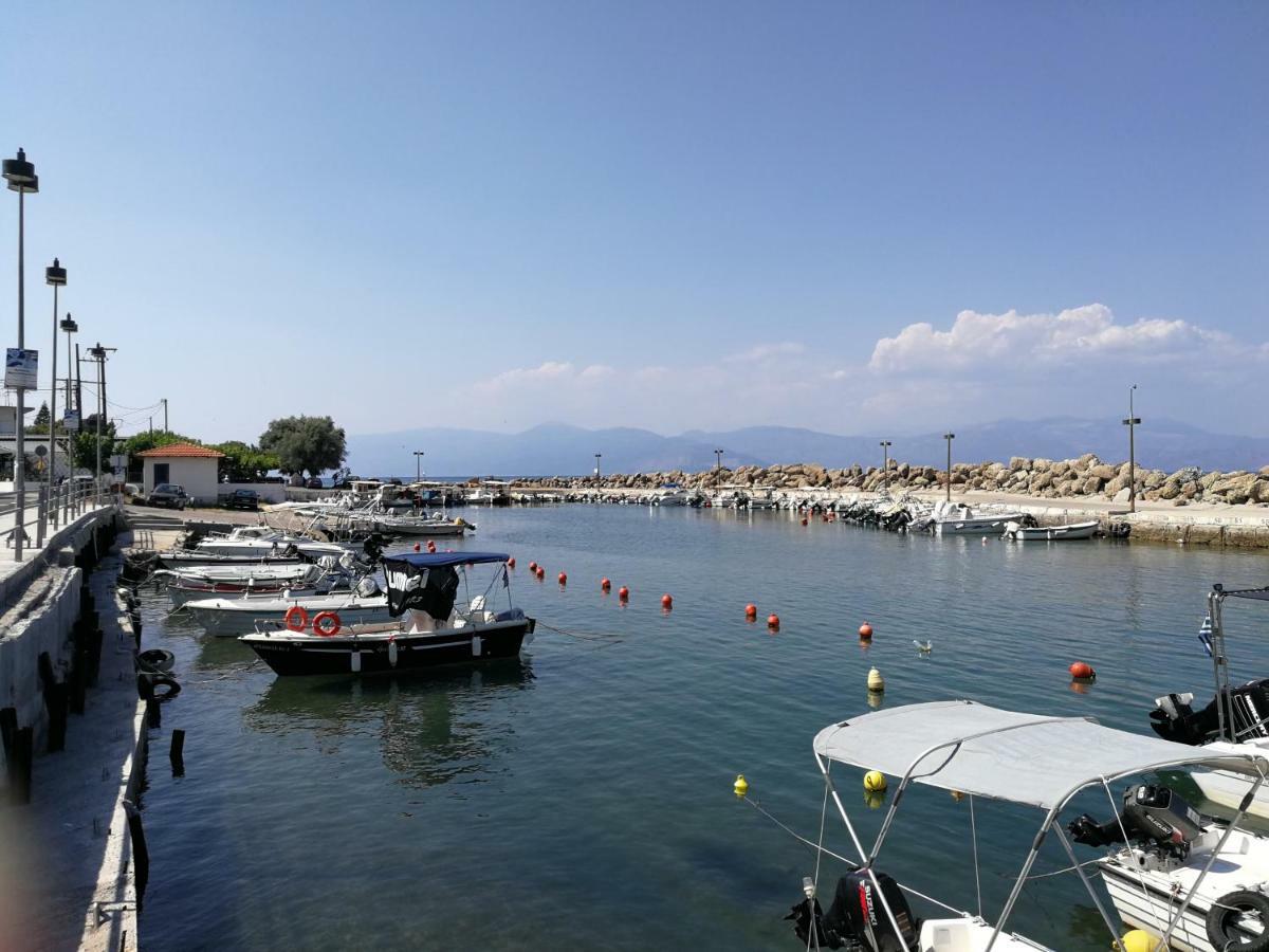 Angel's Place By The Sea Apartment Diakopto