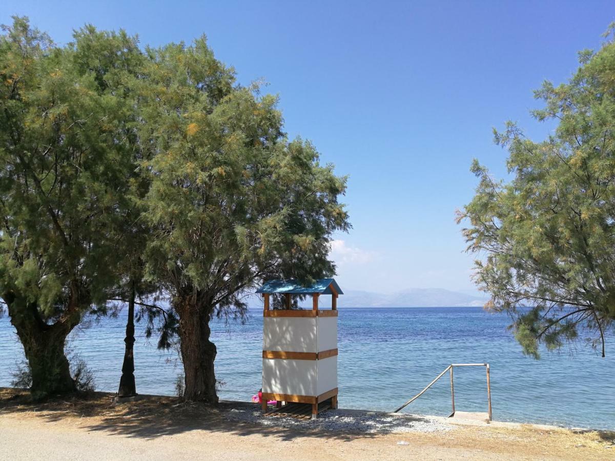 Angel's Place By The Sea * Diakopto