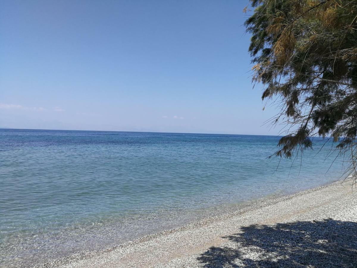 Apartment Angel's Place By The Sea *